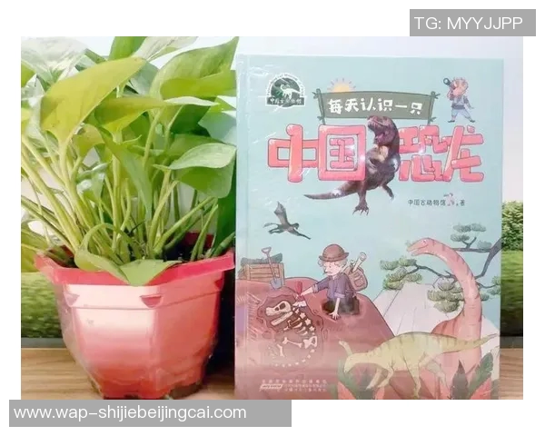 世界杯新闻从零起步掌握网球力量技巧与训练方法的全面指南